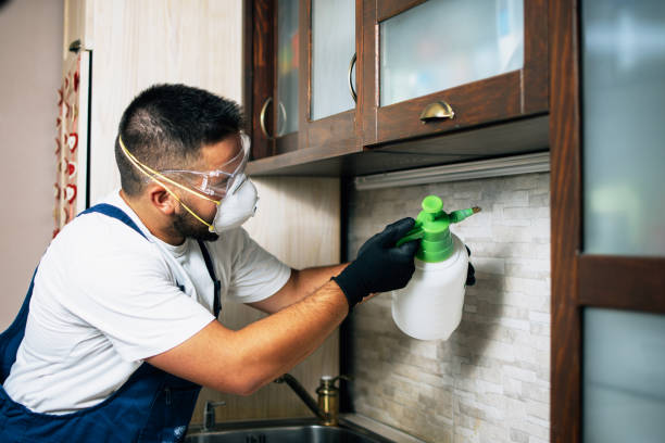 Pest Prevention Services in Westville, IL
