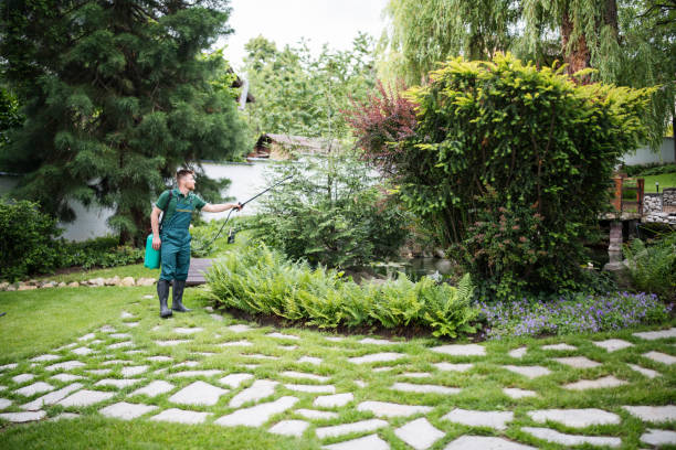 Best Wasp Removal Services  in Westvle, IL